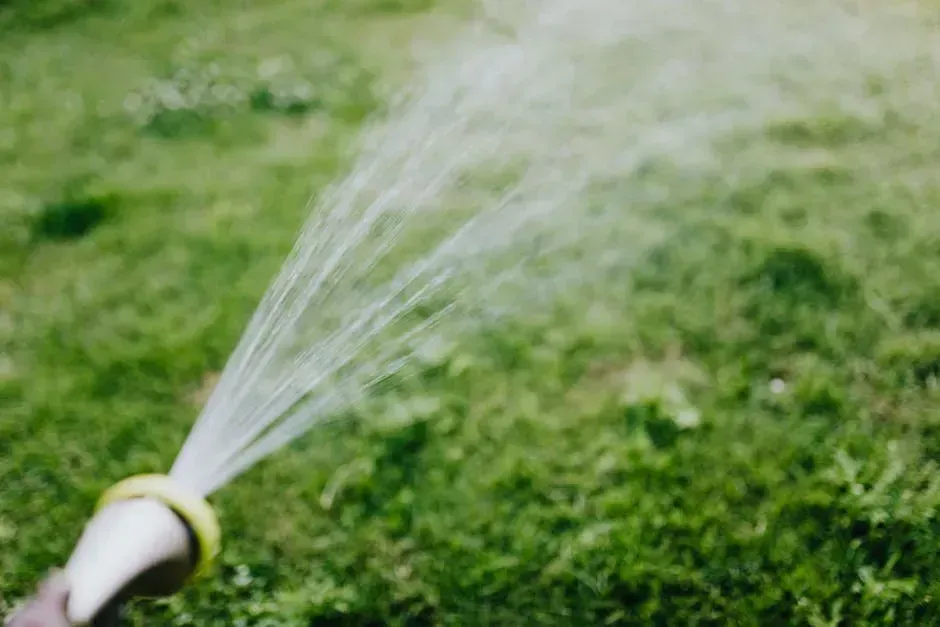 5. Watering the Garden Heavily During Heatwaves to "Cool the Air" (Image Credits: Pexels)