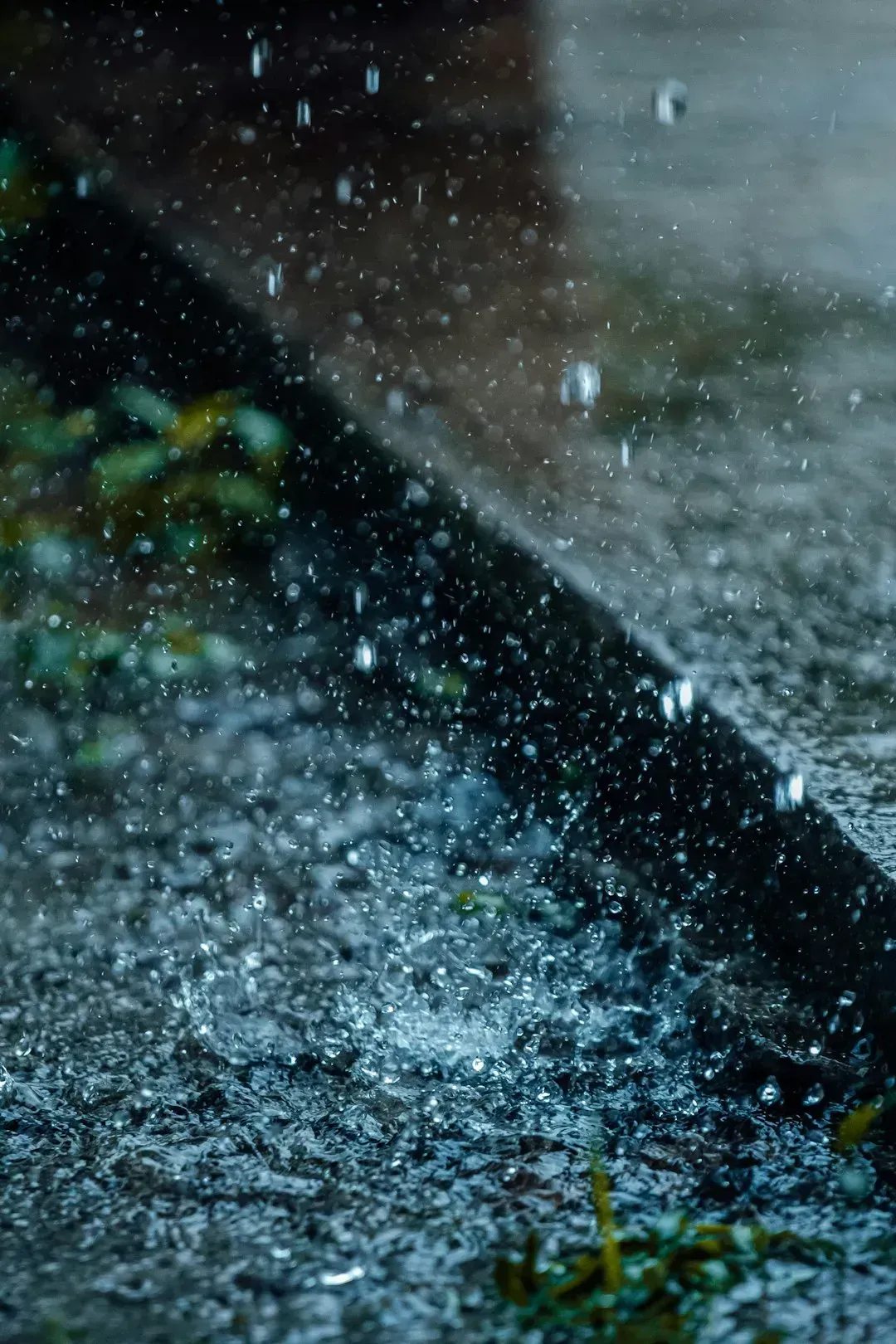 Two different questions hide inside the word "rainiest" (Image Credits: Unsplash)