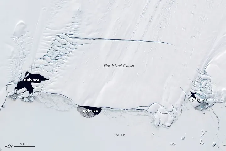 2. Pine Island Glacier, Antarctica (Polynyas and the Pine Island Glacier, Antarctica, CC BY 2.0)