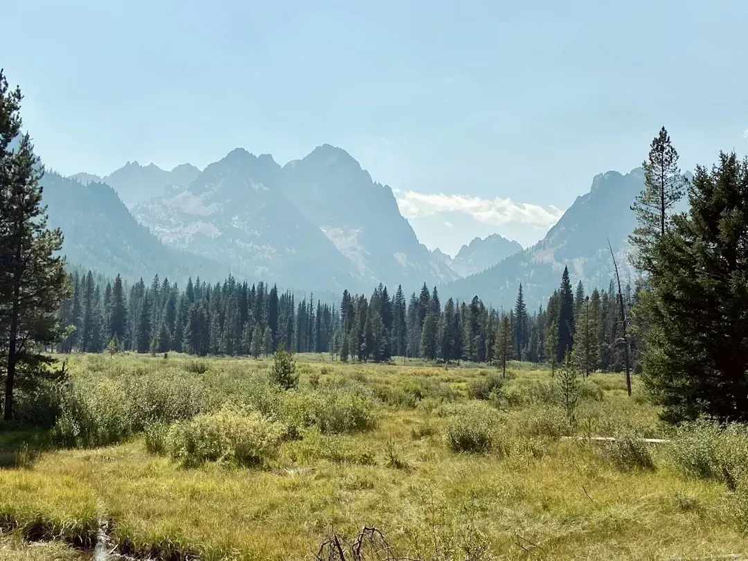 7. Idaho (Image Credits: Unsplash)
