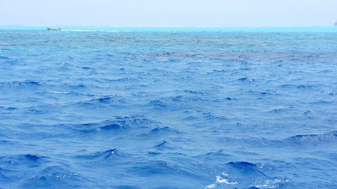 Marine Heatwaves Amplify Land Temperatures (image credits: unsplash)