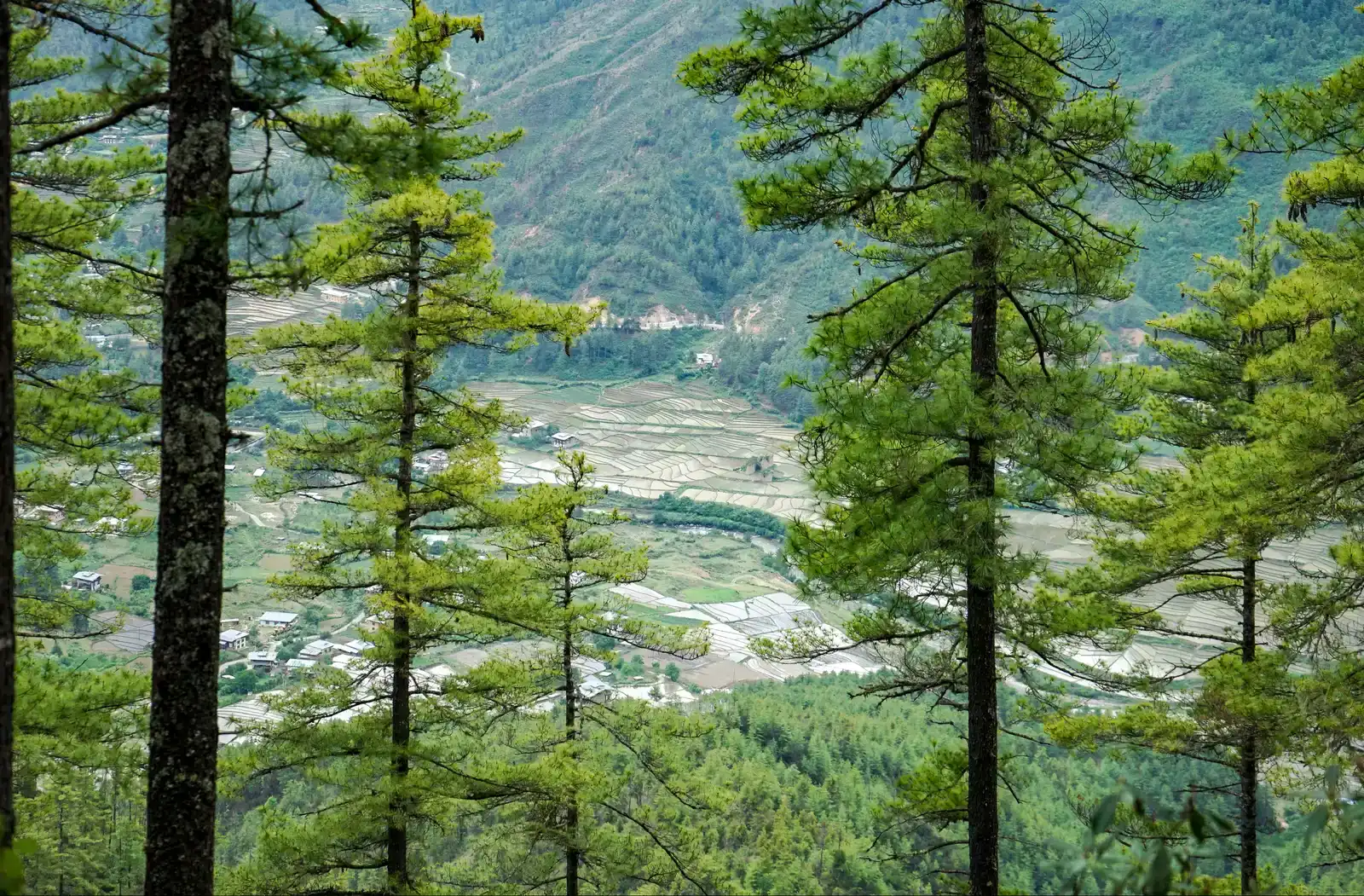 4. Bhutan - Conservation Written Into the Constitution (Paro Taktsang, Bhutan, CC BY 2.0)