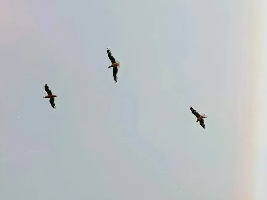 6. Birds Flying Low and Unusually Quiet Forests (Image Credits: Pexels)