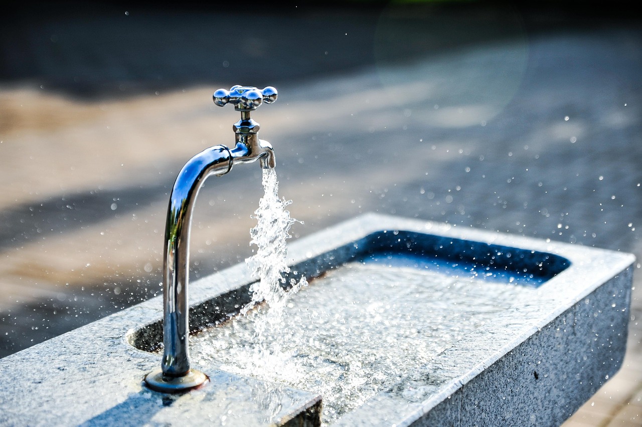 4. Ignoring Water Waste in Daily Routines (image credits: pixabay)
