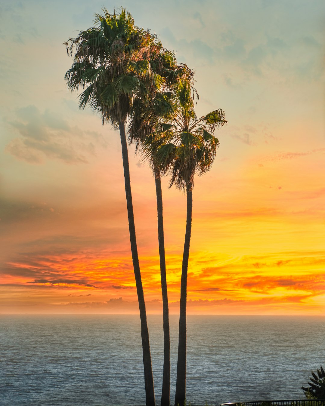 Coastal California Heats Up in the Fall (image credits: unsplash)