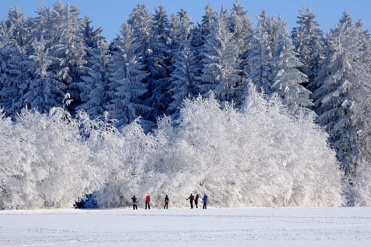 Decline in Overall Cold Extremes: The Bigger Picture (image credits: pixabay)