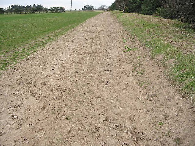 The Future of Farming Depends on Soil (image credits: wikimedia)