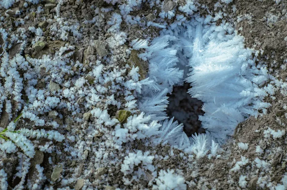 5. The Arctic and Subarctic Towns: Ground Literally Giving Way (Image Credits: Pexels)