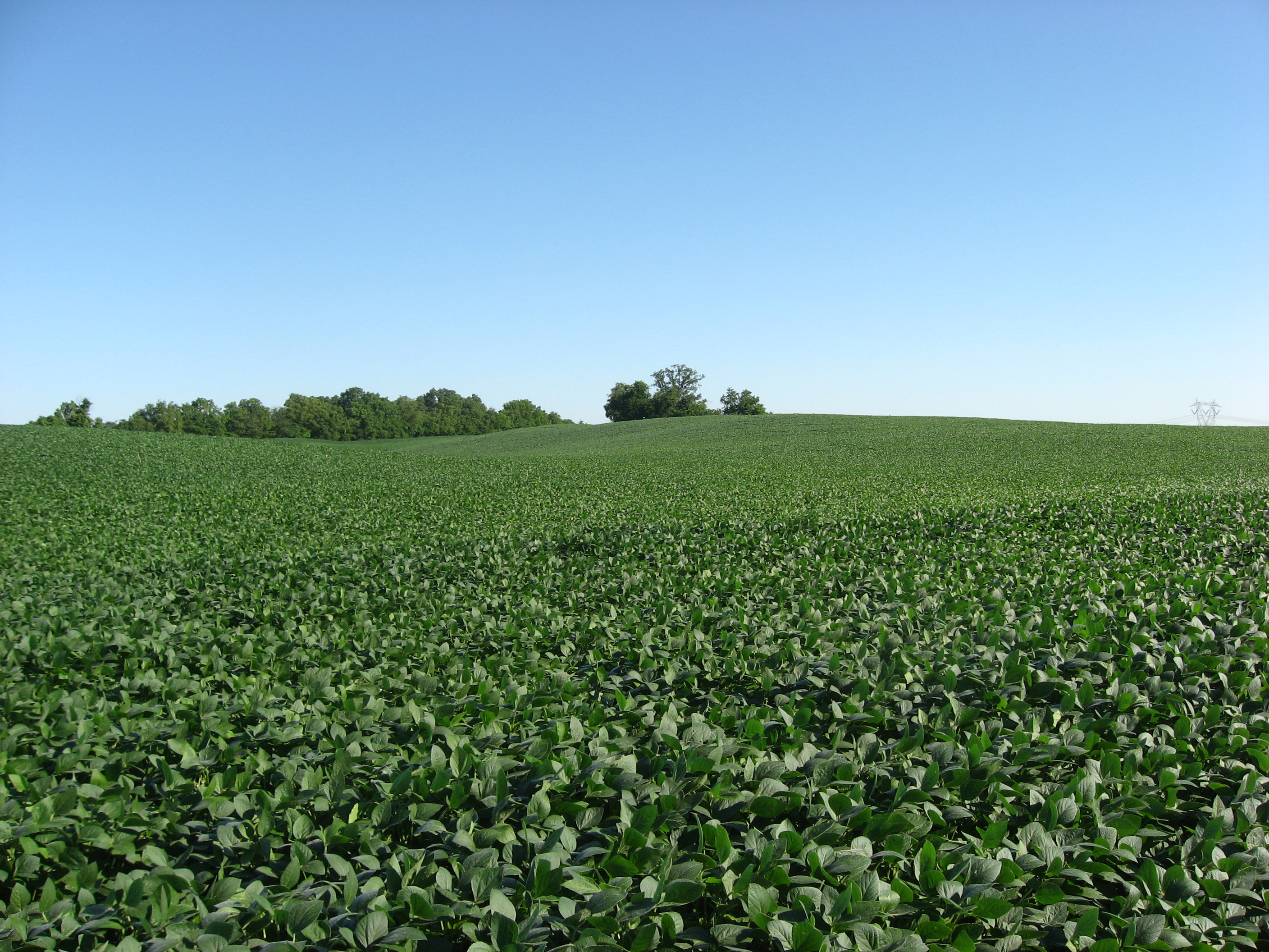 4. Agricultural Products: The Unexpected Hit (image credits: wikimedia)