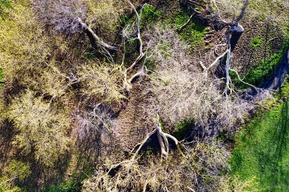 A drought three years in the making, or maybe not (Image Credits: Pexels)