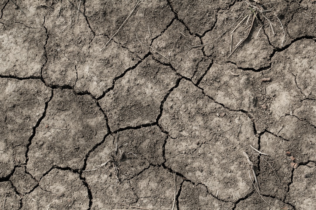 International Perspectives on Drought Forecasting (image credits: unsplash)