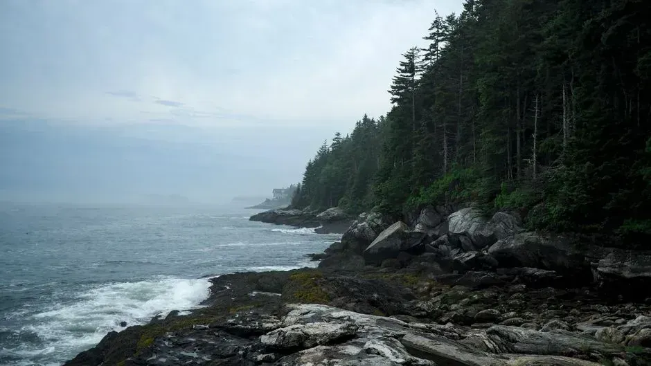 The three American fog hot spots, and Maine's place among them (Image Credits: Pexels)
