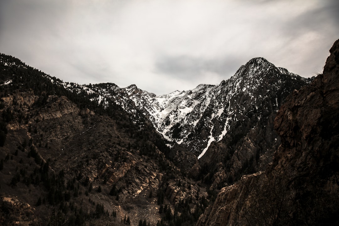 Colorado – Rocky Mountain Snow Paradise (image credits: unsplash)