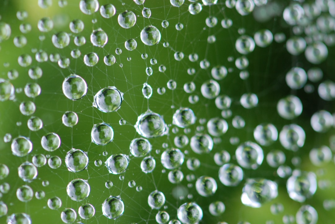 Energy Efficiency Beyond Just Water (image credits: unsplash)