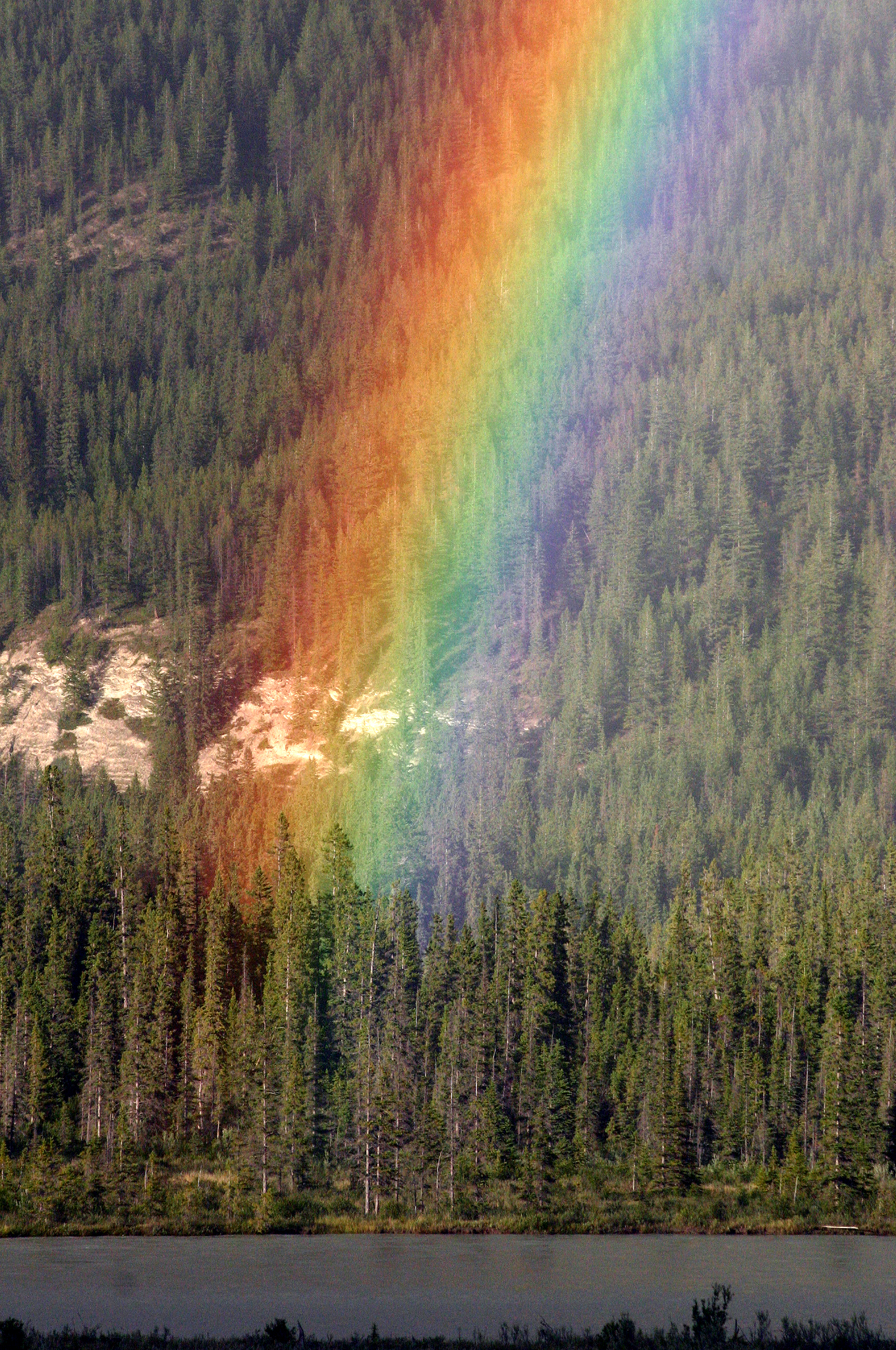 Why Water Droplets Act Like Tiny Prisms (image credits: wikimedia)