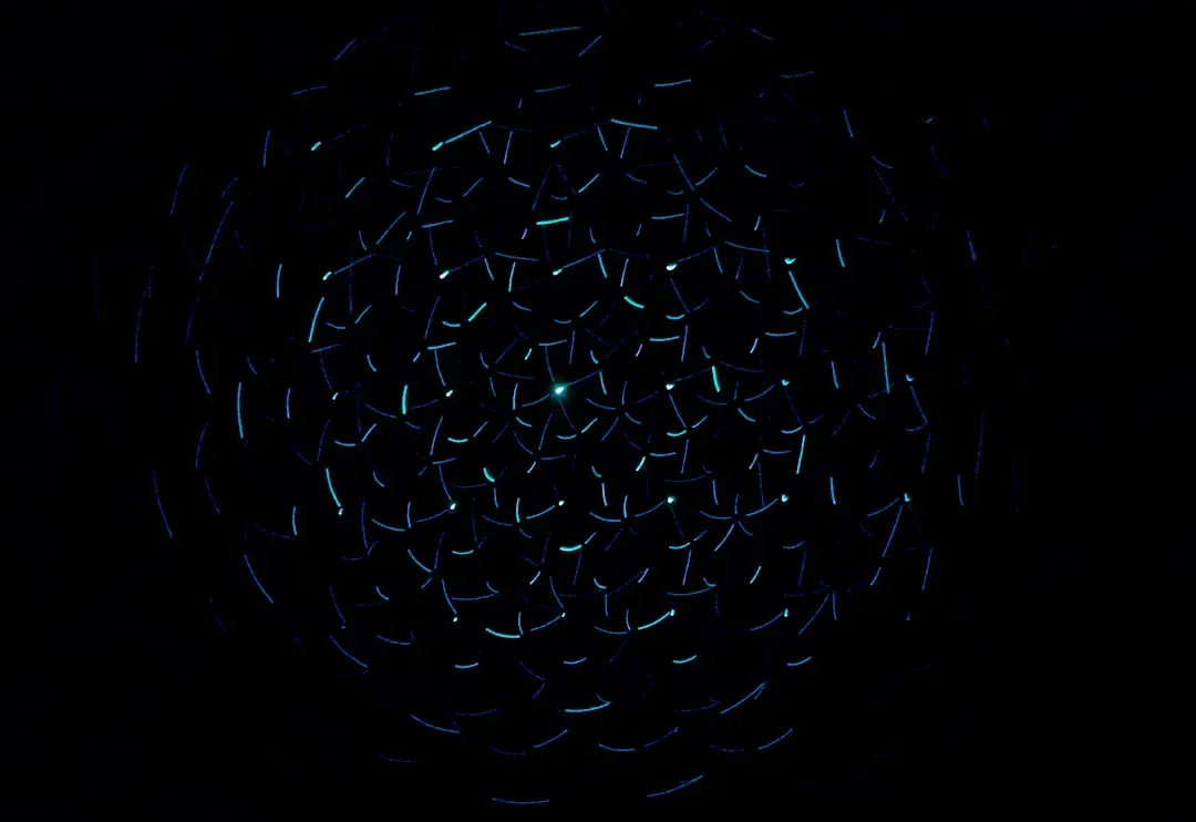 Why "no detection" is still useful science (Image Credits: Unsplash)