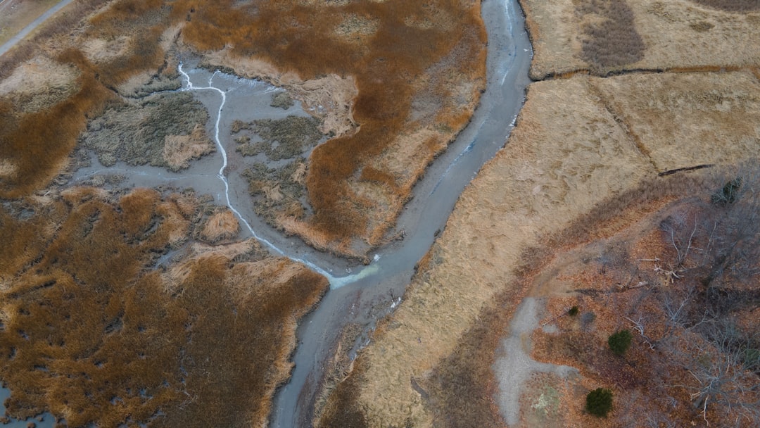 Ecosystem Destruction Removes Natural Barriers (image credits: unsplash)