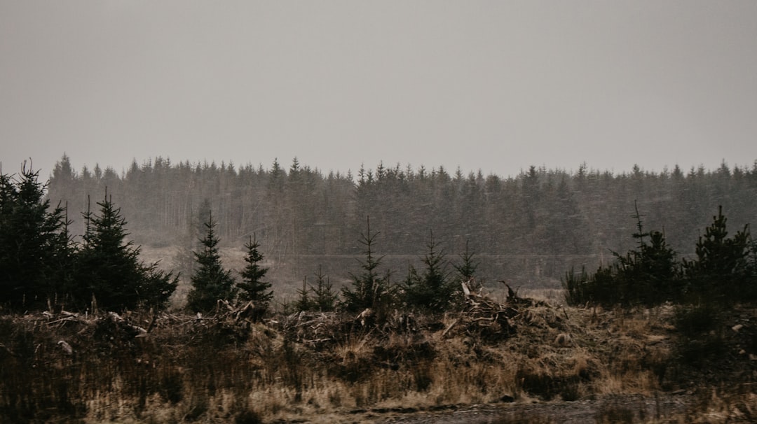 Indonesia: Tropical Fires and Haze Disasters (image credits: unsplash)