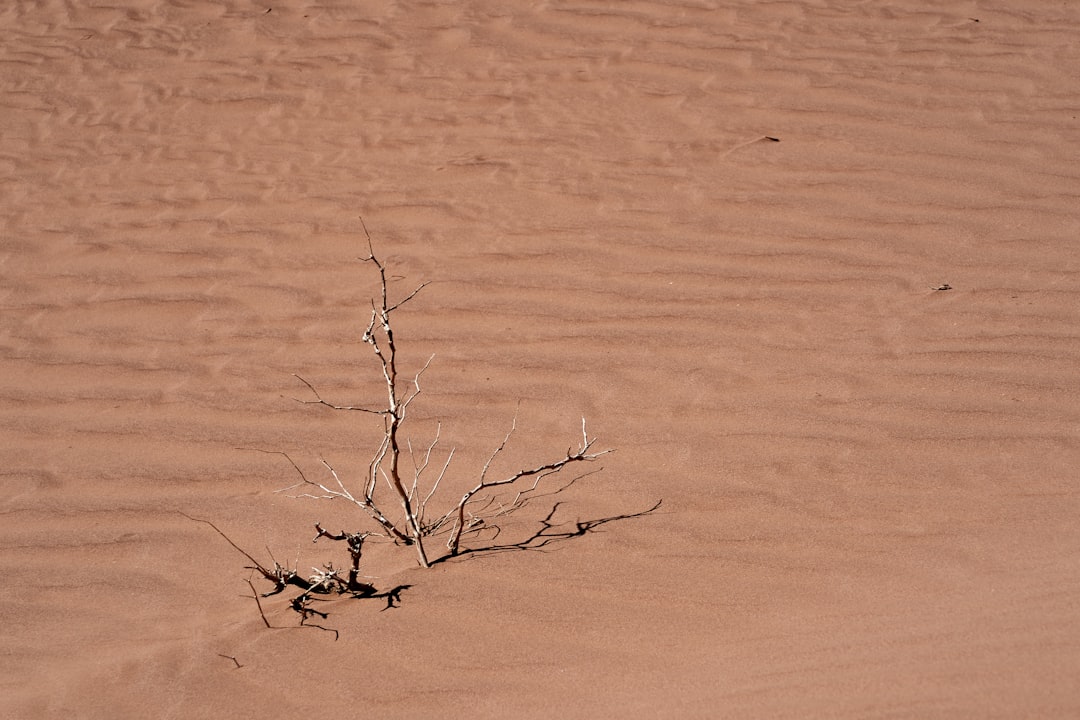 A Perennially Arid Nation (image credits: unsplash)