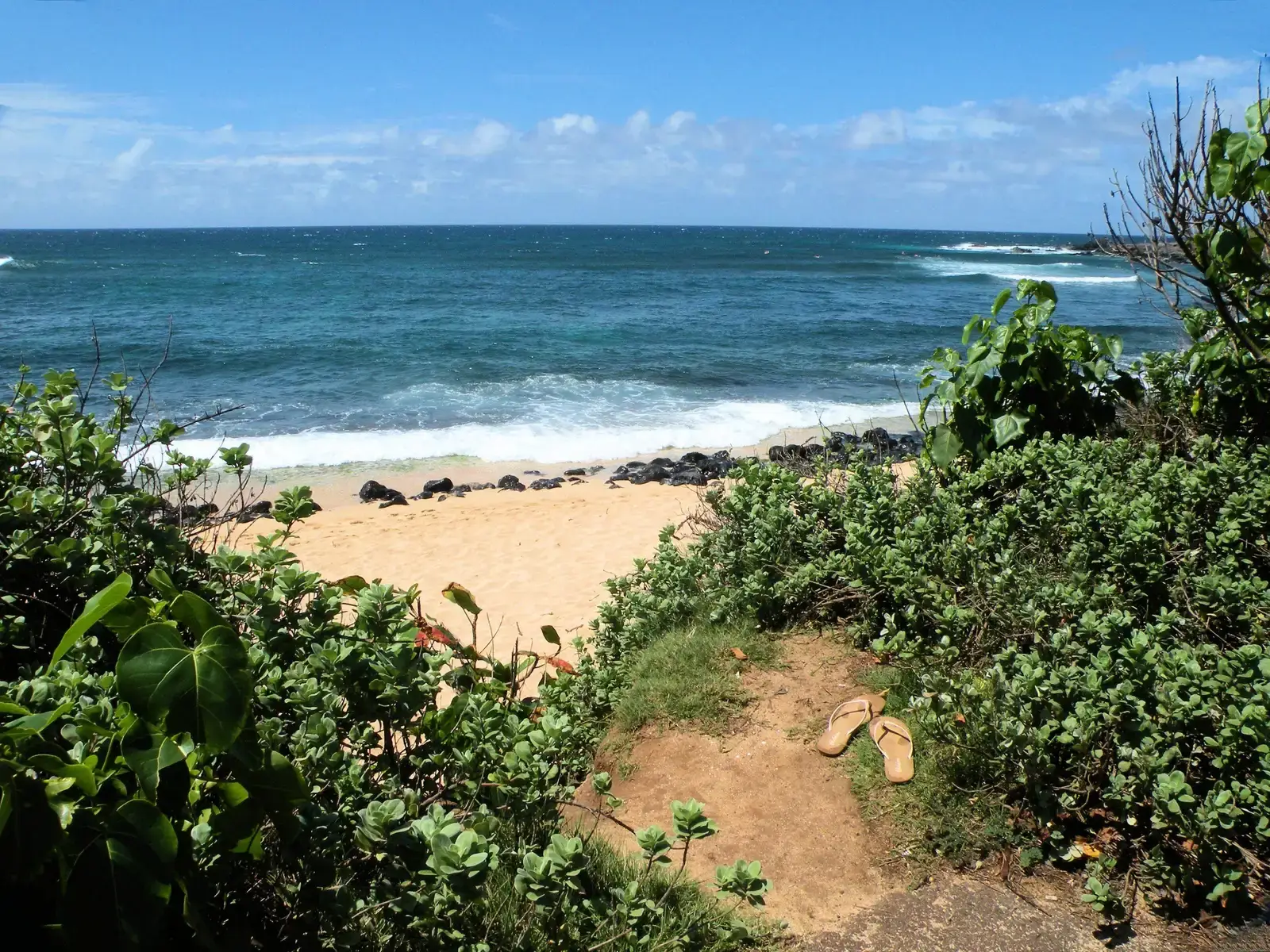 2. Hawaii (By Sue Salisbury Maui H…, CC BY 3.0)