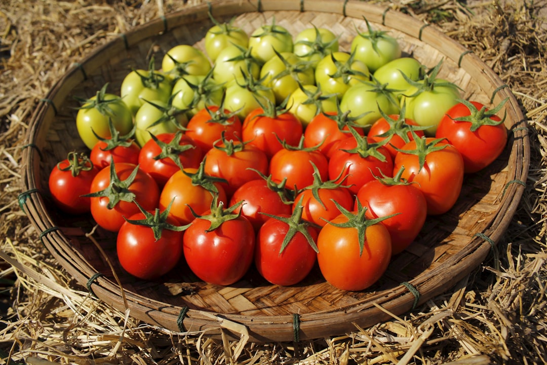 Organic Farms Do Use Pesticides – Just Different Ones (image credits: unsplash)