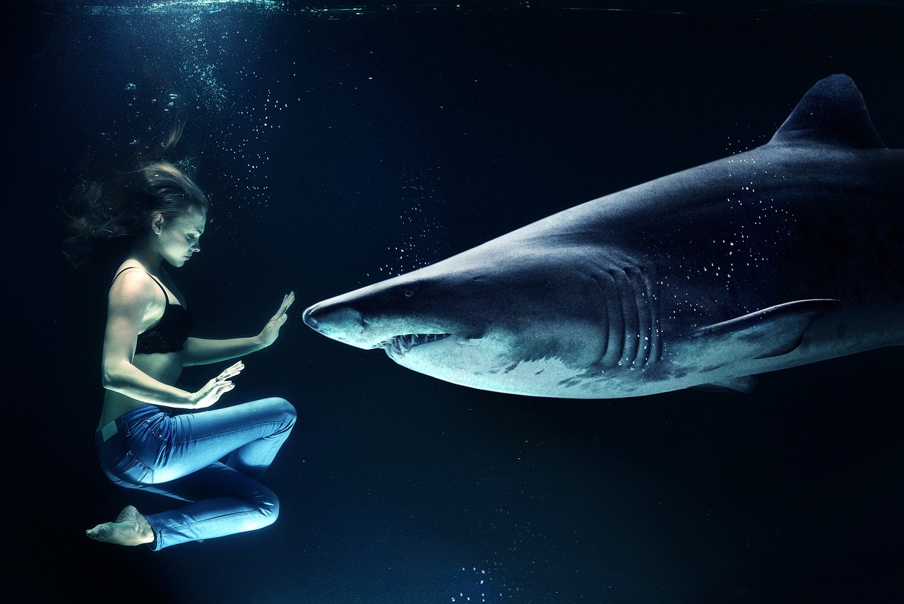 The New Reality (image credits: pixabay)