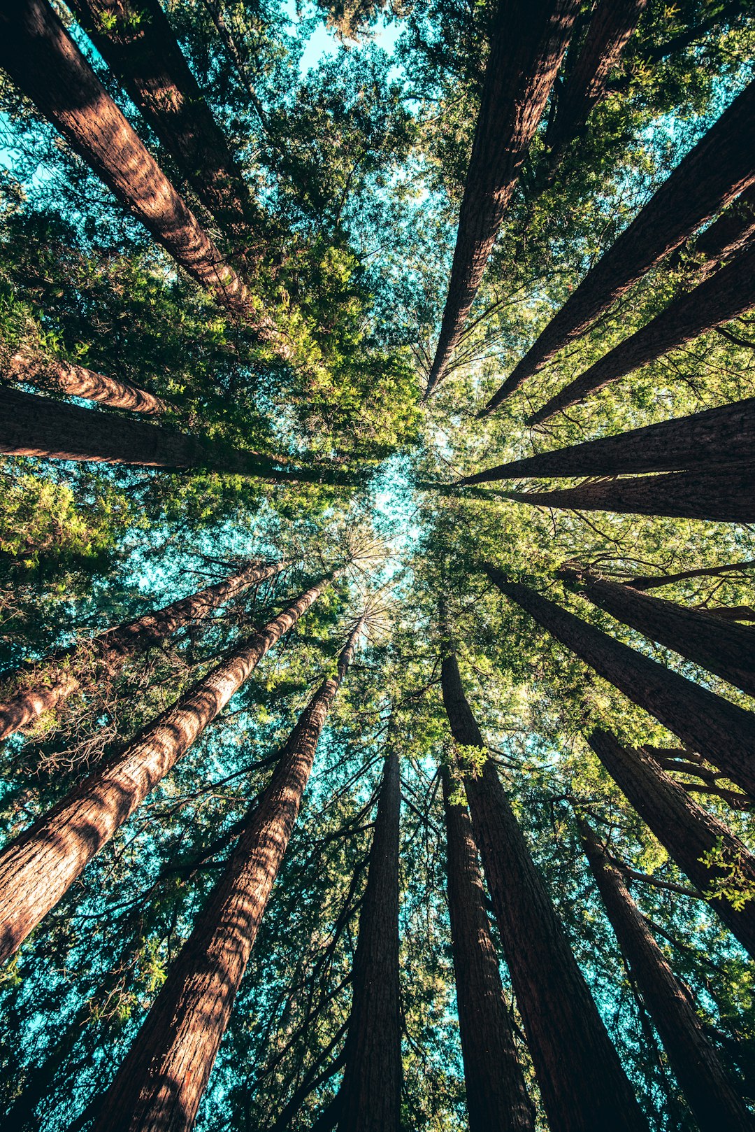 Long-Term Thinking in a Short-Term World (image credits: unsplash)