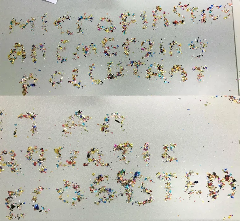 How the Seeds Actually Filter Microplastics (Image Credits: This image was created by Rachel M. Sorensen by using metallic confetti, CC BY-SA 4.0)