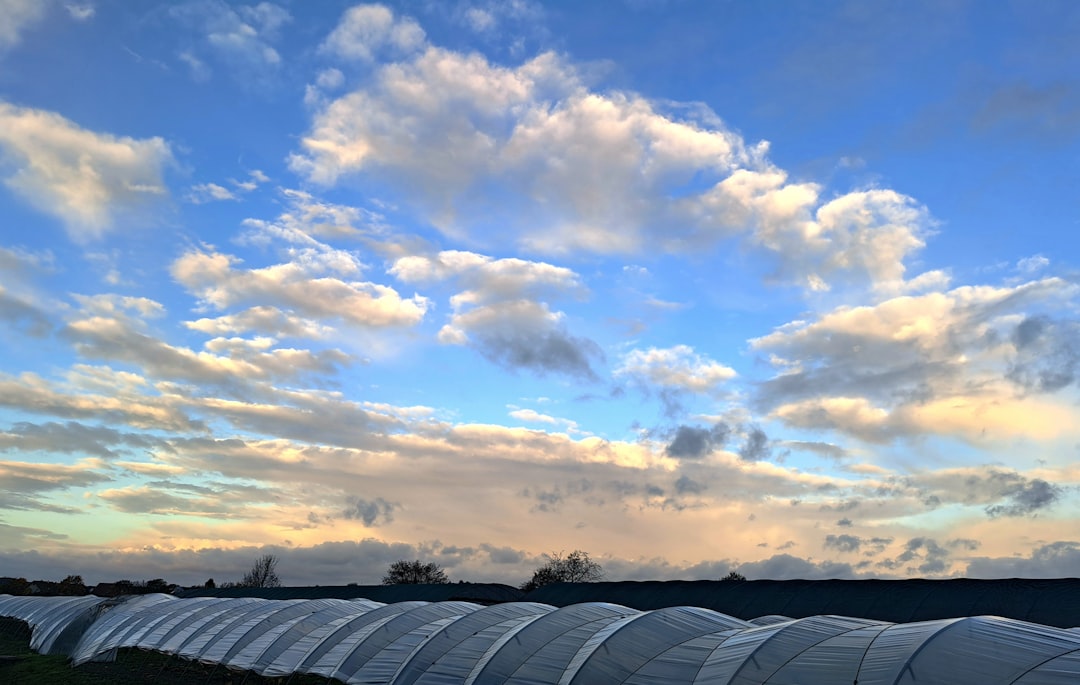 Cloud Formation Triggered by Solar Heat Islands (image credits: unsplash)