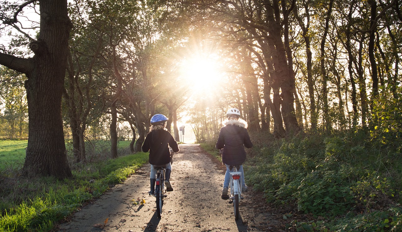 Davis, California: The Original Bike Lane Pioneer (image credits: pixabay)