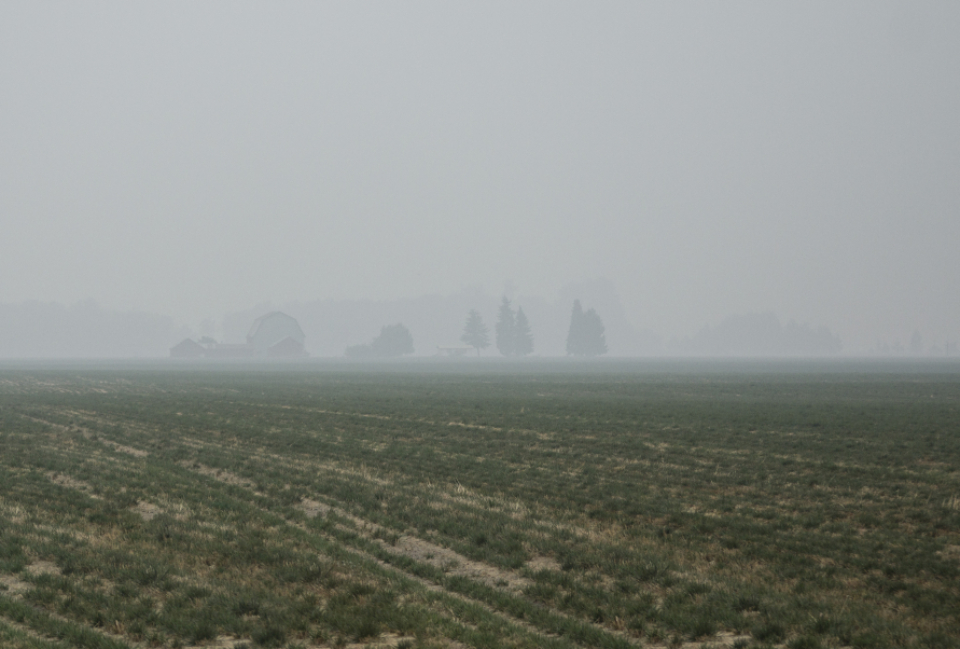 Climate Sensitivity Estimates Are Being Reassessed (image credits: stocksnap)