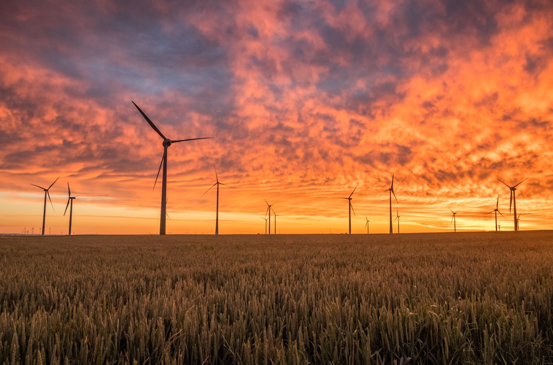 6. Climate Change is Not Affecting Agriculture (image credits: unsplash)