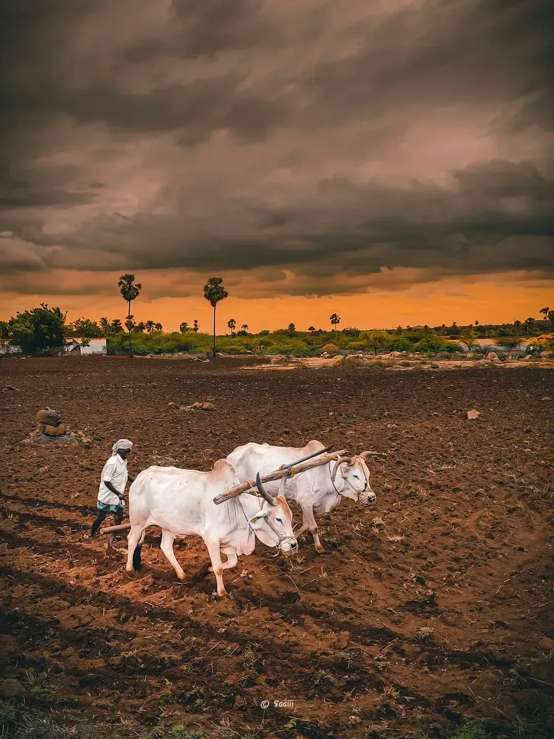 Farmers are watching the sky more closely than usual (Image Credits: Unsplash)