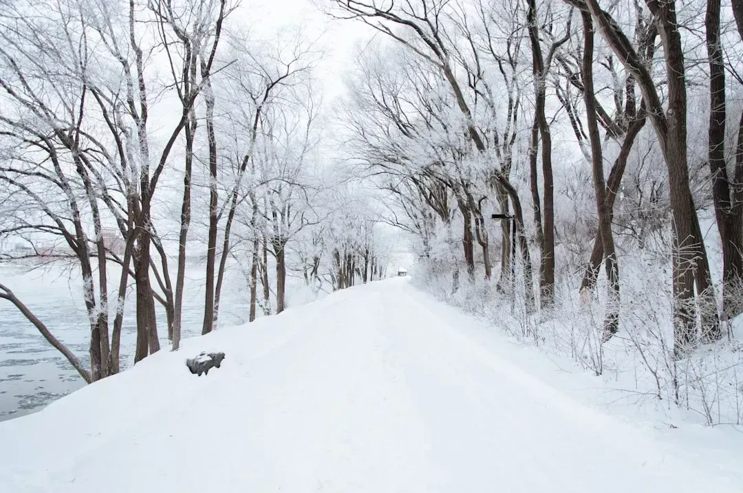 The Polar Vortex Is No Longer Playing by the Old Rules (Image Credits: Unsplash)