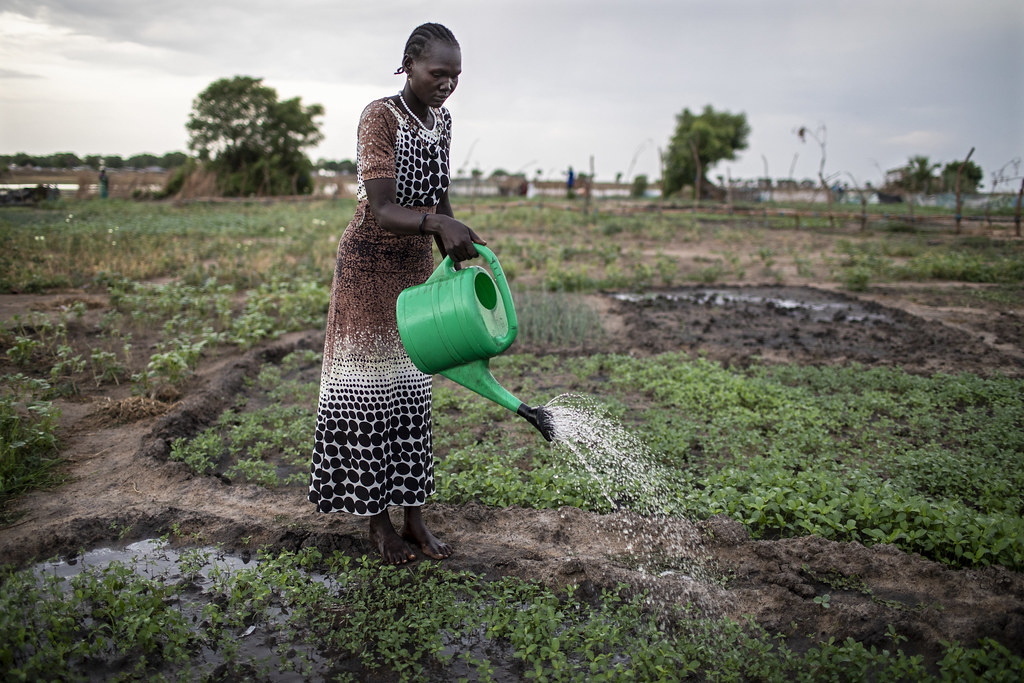 African Cities Navigate Between Floods and Droughts (image credits: flickr)