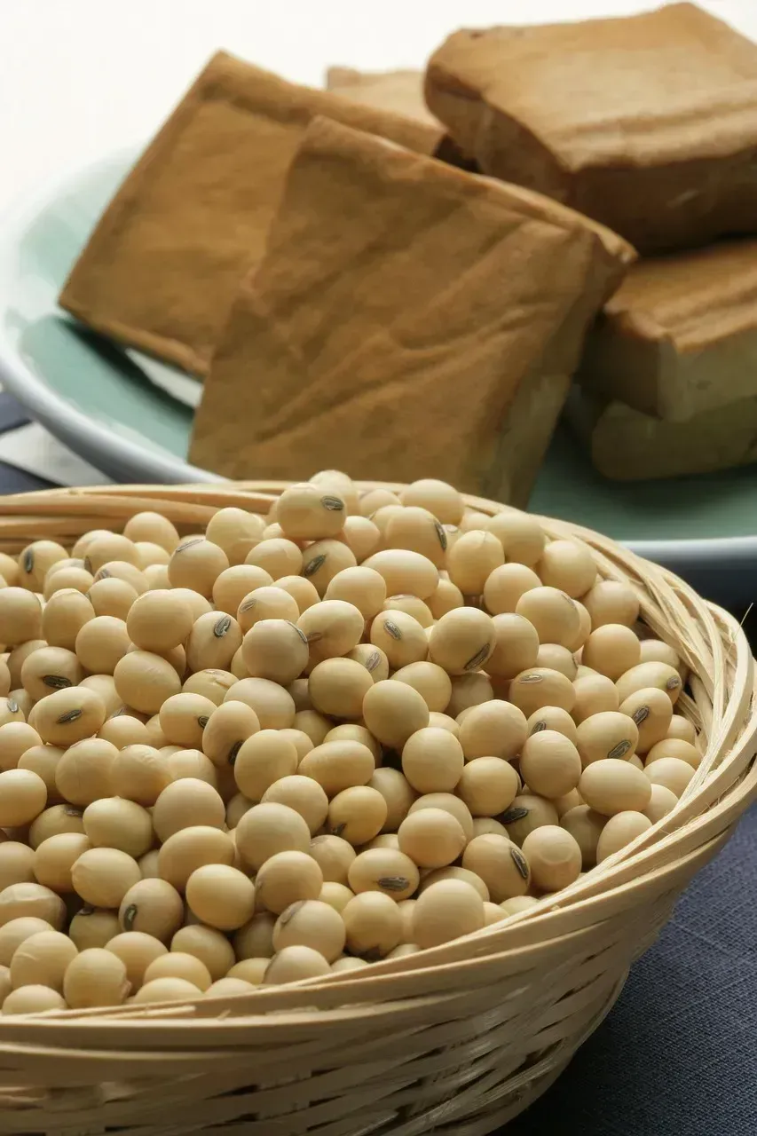 4. Soybeans and soy-based proteins (Image Credits: Pixabay)