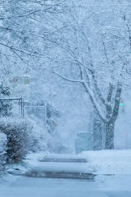 The Northeastern United States and Mid-Atlantic (Image Credits: Pexels)