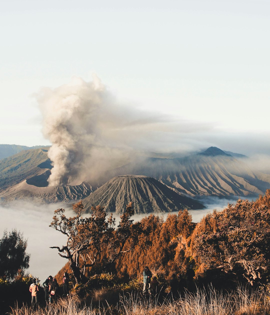 Economic Implications for Indonesia's Tourism Sector (image credits: unsplash)