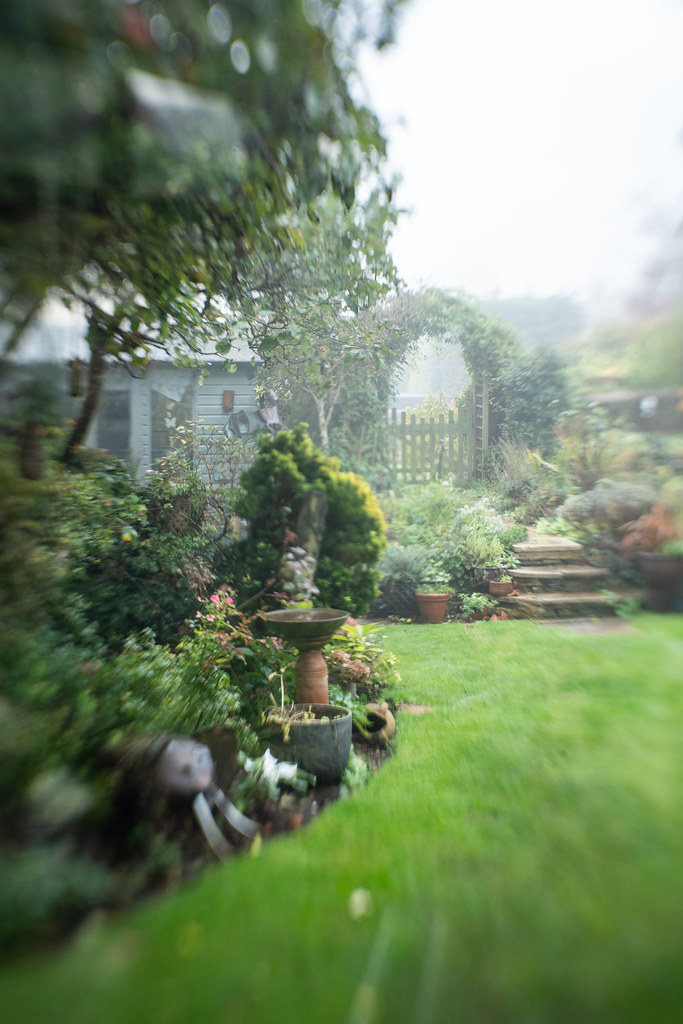 Trying to Keep Your Lawn Green No Matter What (image credits: wikimedia)