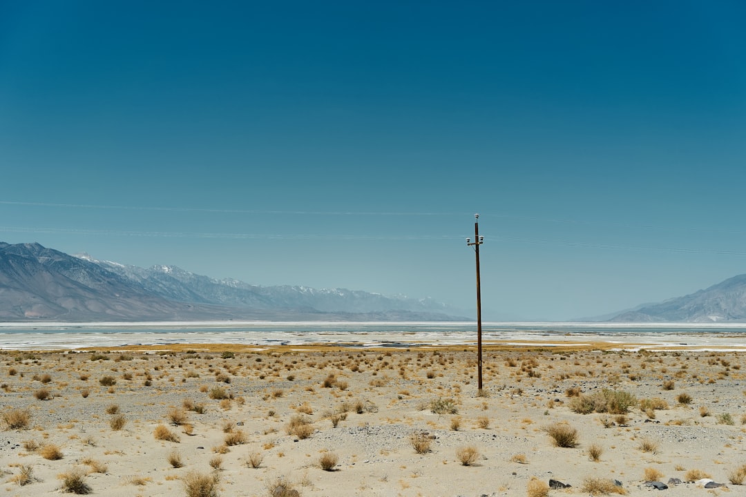 United States Winter Sees Widespread Dryness (image credits: unsplash)
