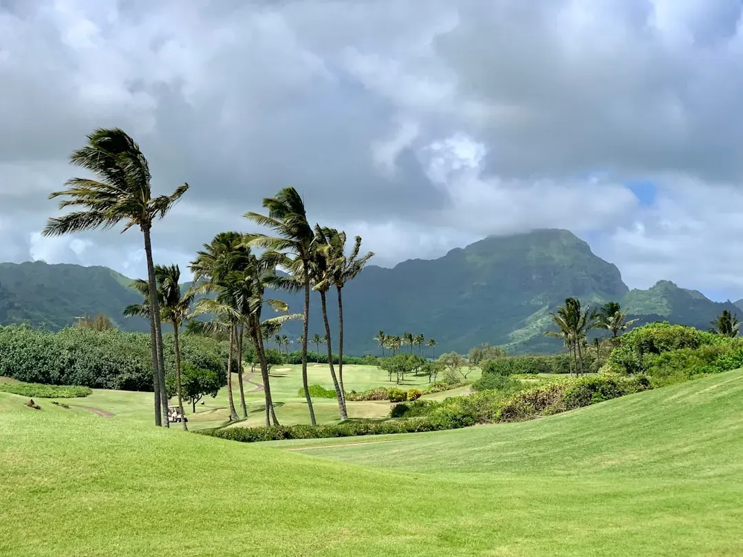 The track that has everyone watching Kauai (Image Credits: Unsplash)