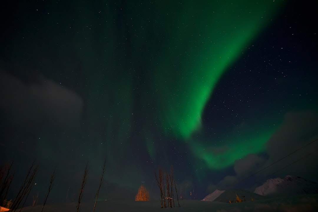 Norway's Polar Night Storms (image credits: unsplash)