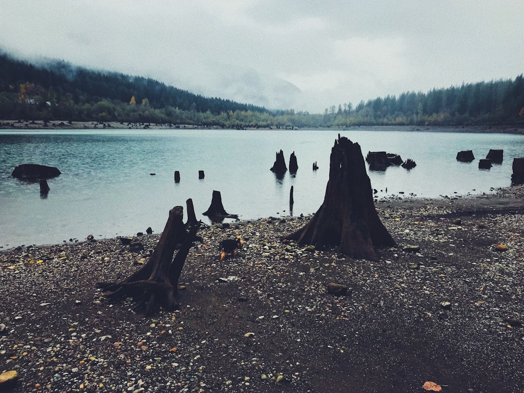 Implications for Our Climate Future (image credits: unsplash)