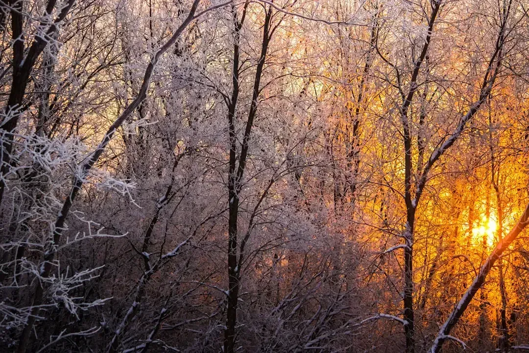 Wildfires in a state known for lakes, not flames (Image Credits: Unsplash)