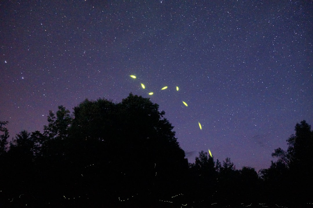 Why We Might Be the Last Lucky Ones (image credits: unsplash)
