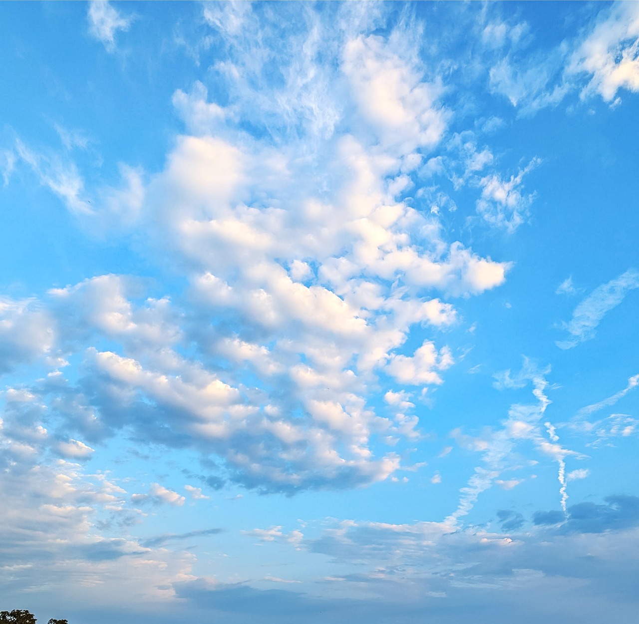 Stratus Clouds: The Sky's Gray Blanket (image credits: pixabay)