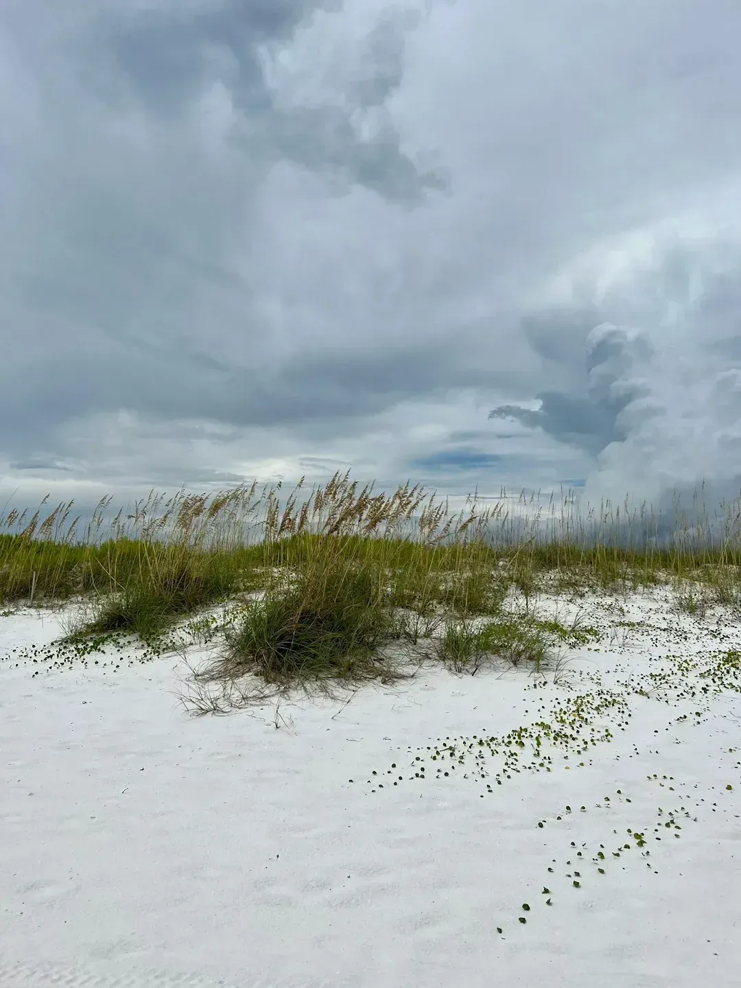 Why the Gulf Coast dominates these rankings so consistently (Image Credits: Unsplash)