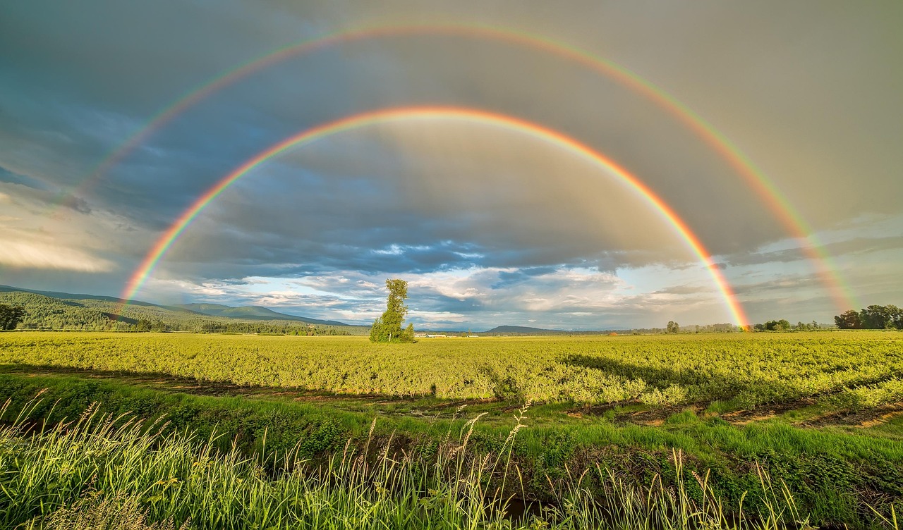The Critical 42-Degree Angle That Makes Rainbows Possible (image credits: pixabay)