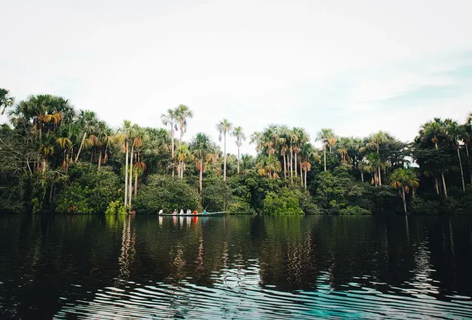 7. Thelma Krug – Building the Satellite Systems That Track Deforestation (Image Credits: Pexels)