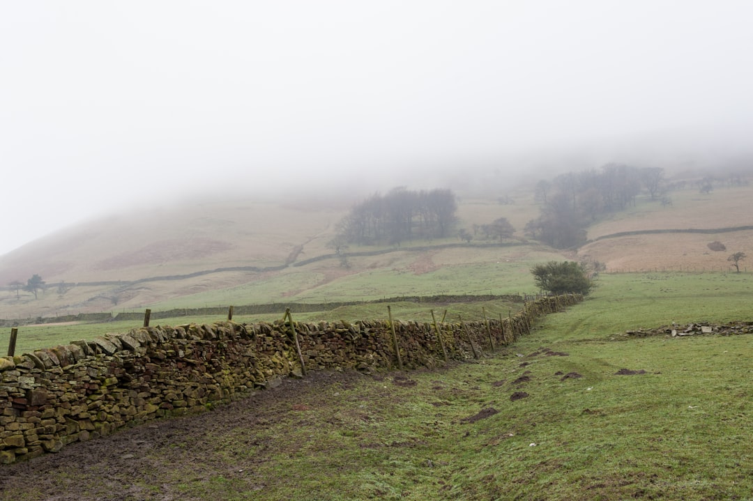 British Farms Could Face Agricultural Catastrophe (image credits: unsplash)